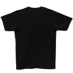 Rs Taichi RSU097 ICON T-shirt